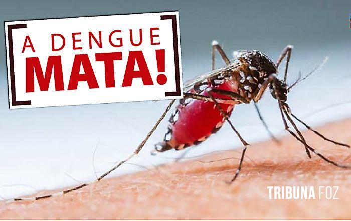 Autoridades de saúde de Foz do Iguaçu confirmam  19º óbito por dengue em 2023