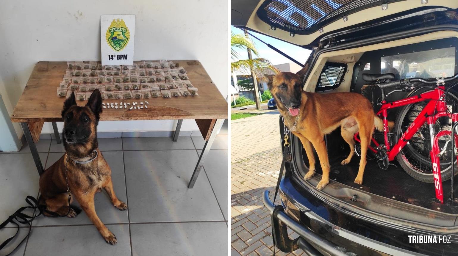 PM apreende maconha, cocaína e crack em local usado para a venda de drogas no Jardim Panorama