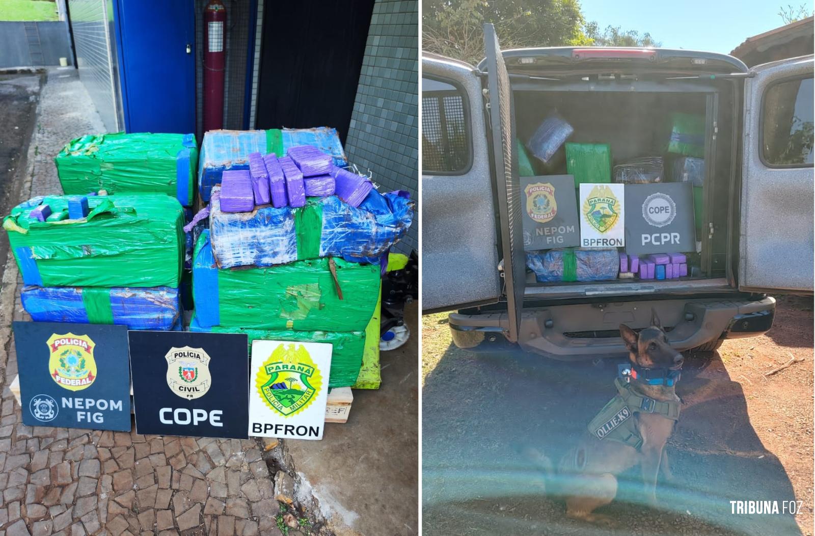 Policia Federal e forças estaduais de segurança apreendem 357 Kg de maconha em porto clandestino