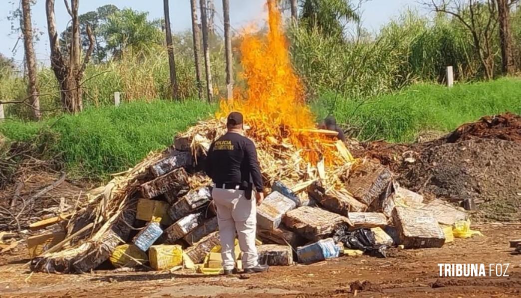 SENAD de Ciudad Del Este incinera 6,4 toneladas de maconha no Paraguai