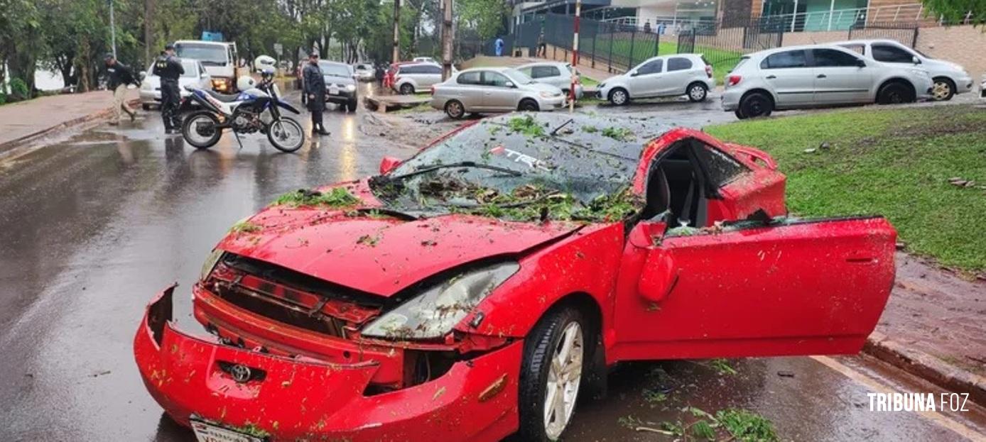 Arvore cai sobre veículo e causa danos de grande monta em Ciudad Del Este