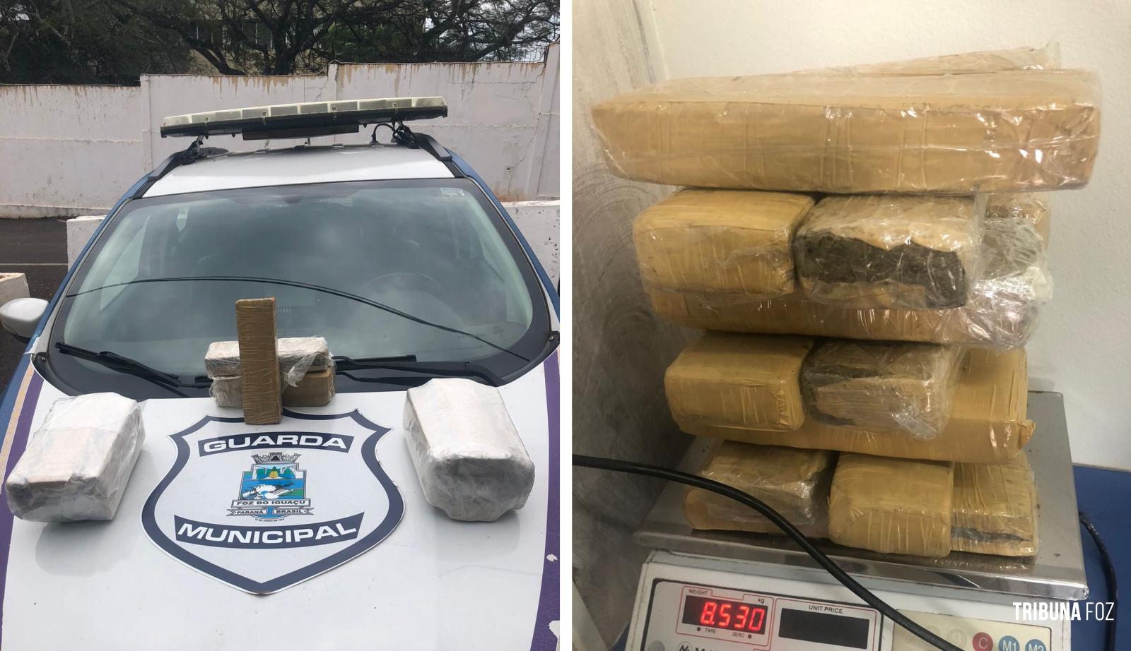 Guarda Municipal apreende 8,6 Kg de maconha no Bairro Três Lagoas