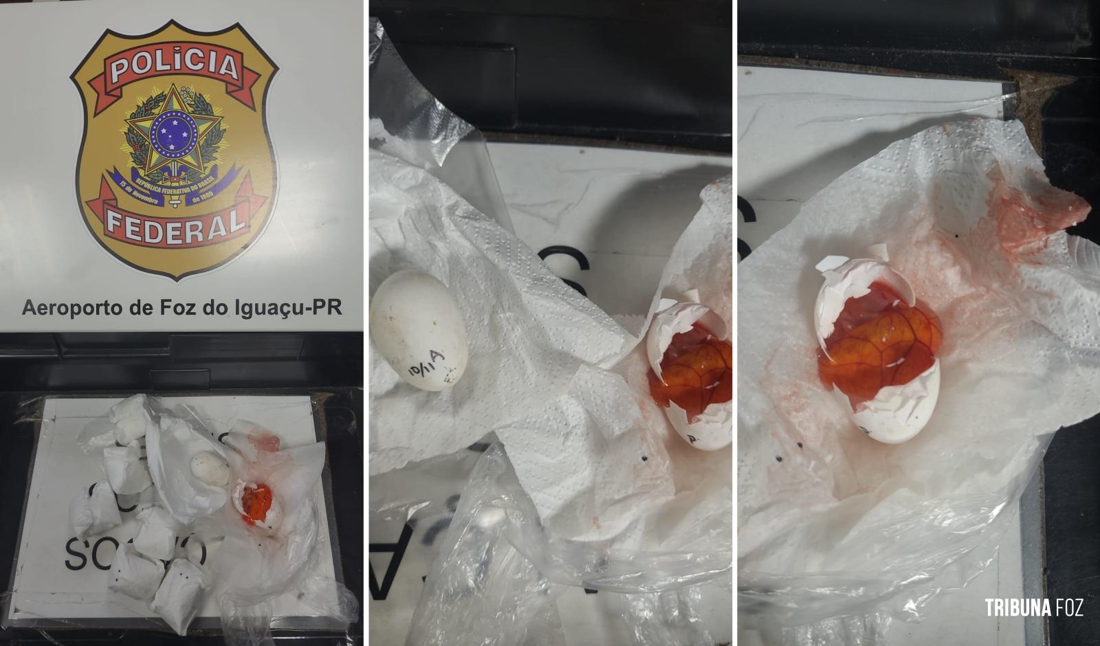 Policia Federal apreende ovos de espécie não identificada no Aeroporto de Foz do Iguaçu