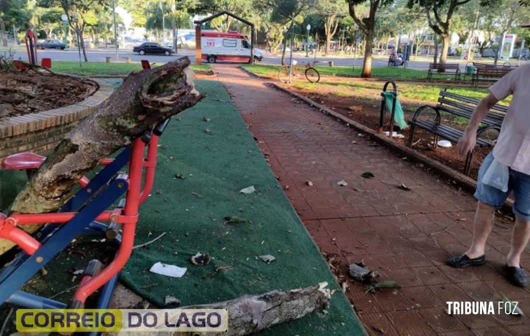 Idoso de 75 anos fica ferido ao ser atingido por galho enquanto fazia exercícios na Praça Central de Santa Helena