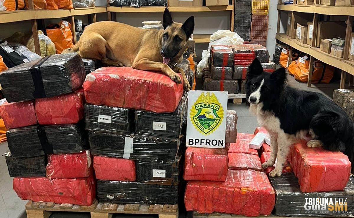 BPFRON apreende 914 Kg de maconha em Santa Helena