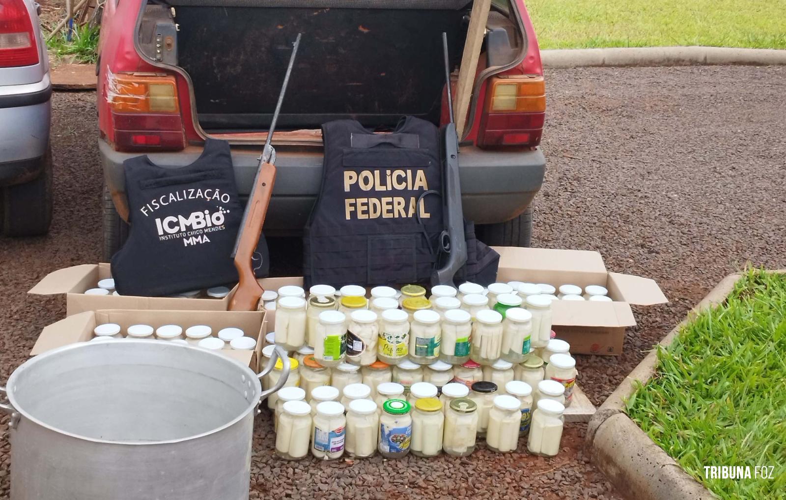 Policia Federal e ICMBio prendem "palmiteiro" no Parque Nacional do Iguaçu