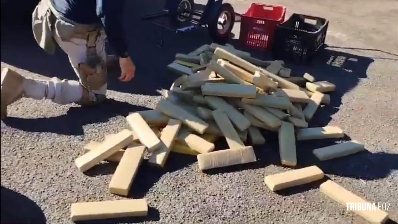 DENARC de Foz apreende 203 Kg de maconha com apoio da PRF em Guarapuava