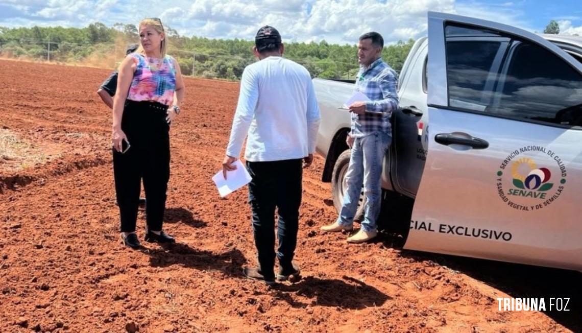 Produtor brasileiro é processado fumigação irregular no Paraguai 