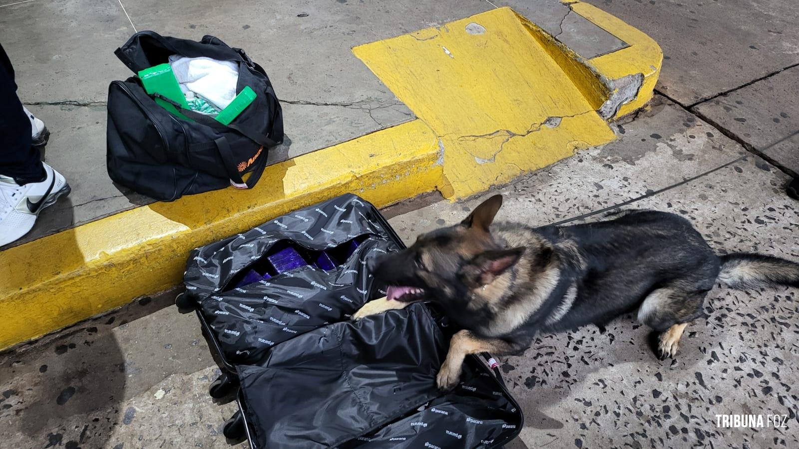 Policia Federal prende passageiro com mala contendo maconha na rodoviária de Foz do Iguaçu