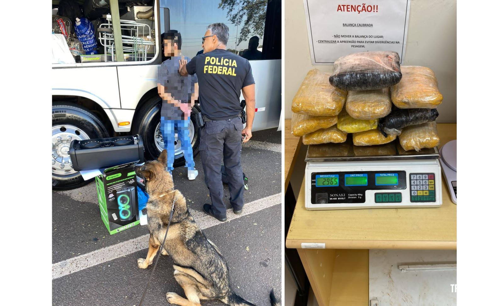 Policia Federal prende passageiro transportando maconha tipo capulho na Rodoviária de Foz do Iguaçu