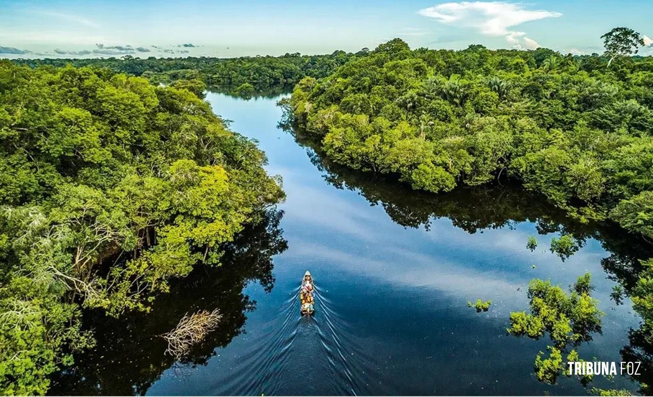 EUA anunciam nova contribuição de US$ 47 milhões para o Fundo Amazônia