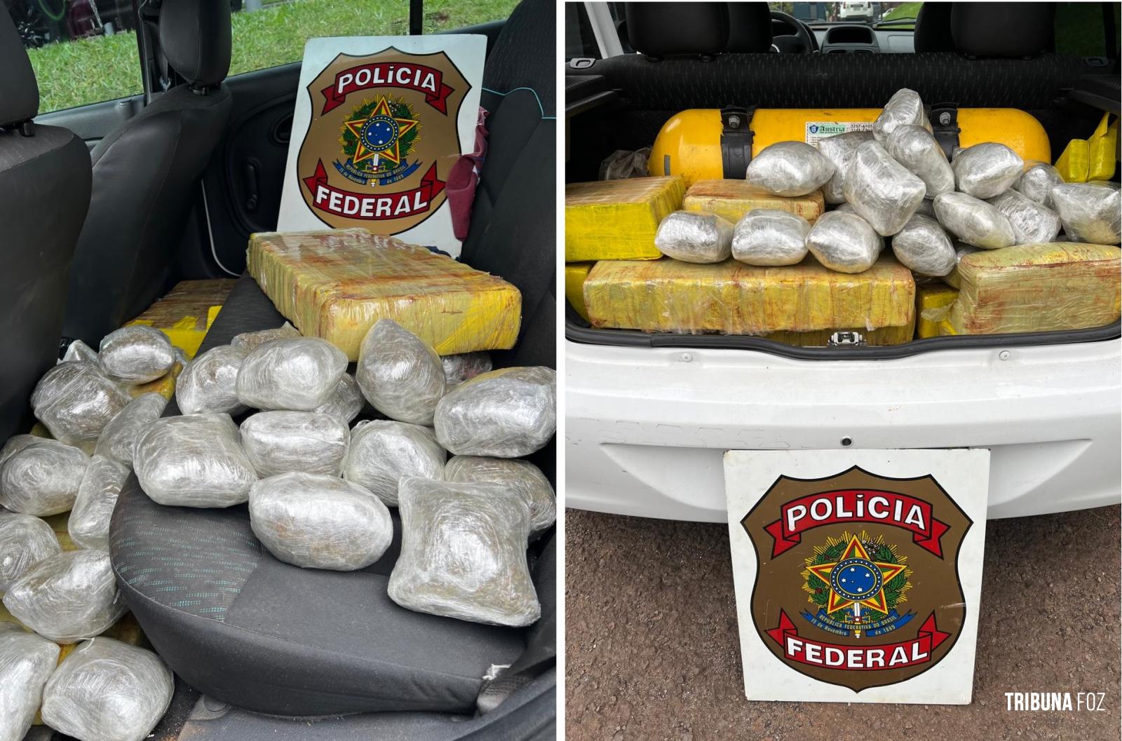 Policia Federal prende motorista transportando 156 Kg de maconha na Rodovia BR-277