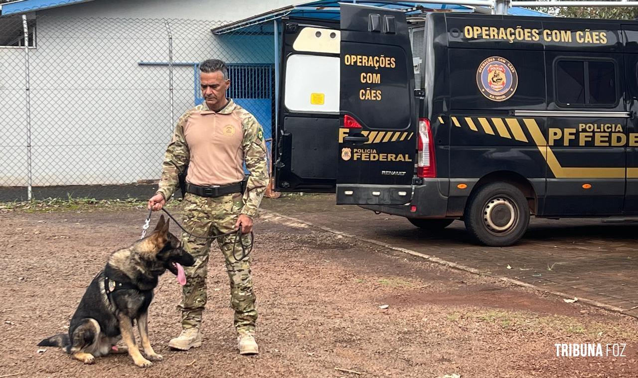 Policia Federal recebe mais dois cães farejadores policiais e reforça fiscalização na tríplice fronteira