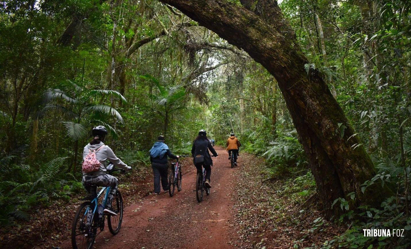 Bike Poço Preto: passeio guiado pela floresta da Mata Atlântica