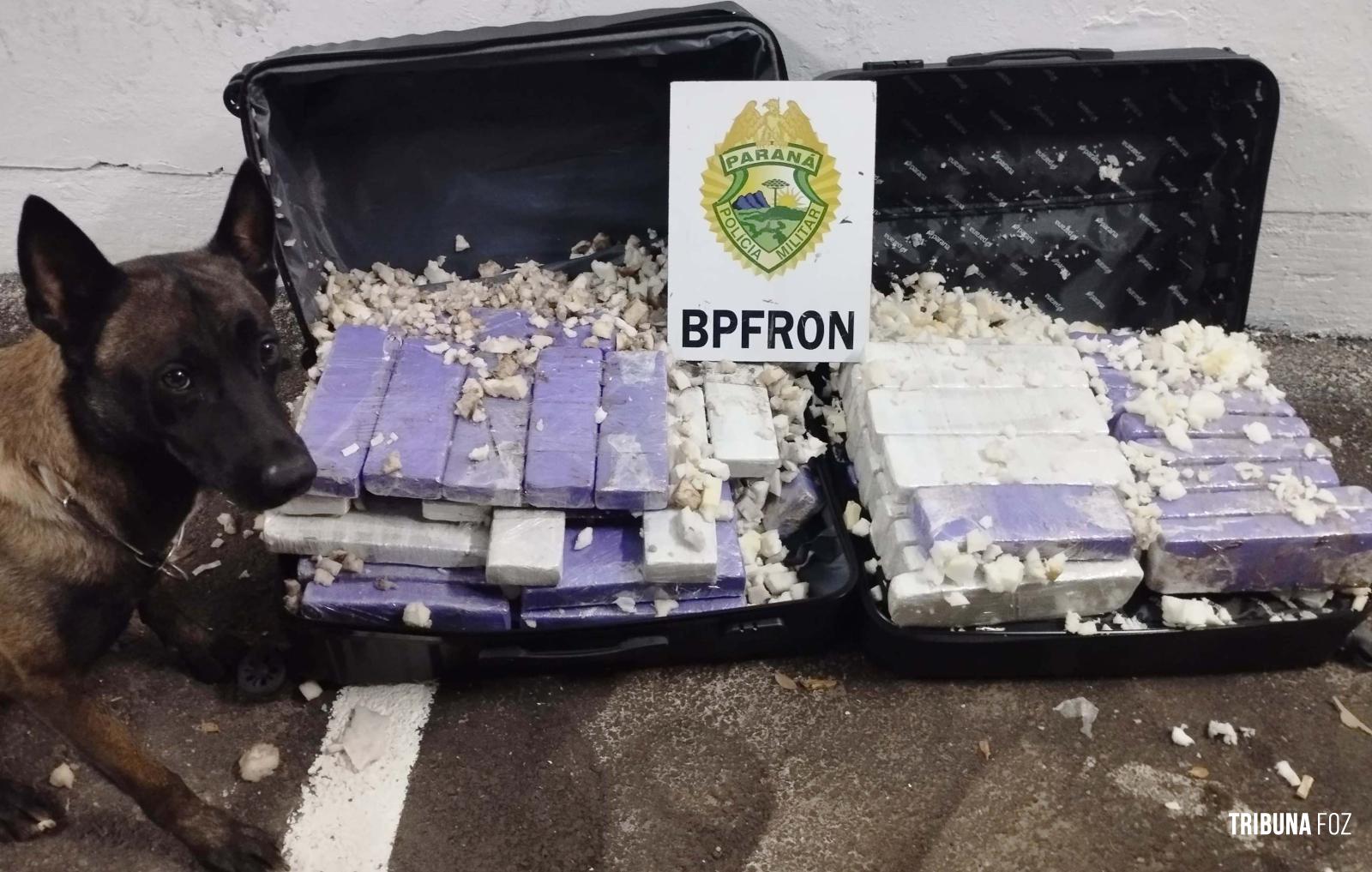 BPFRON prende mulher transportando 66 Kg de maconha em ônibus