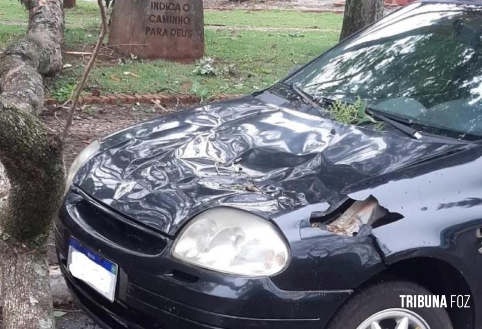 Árvore cai sobre carro em São Miguel do Iguaçu durante chuva e vento