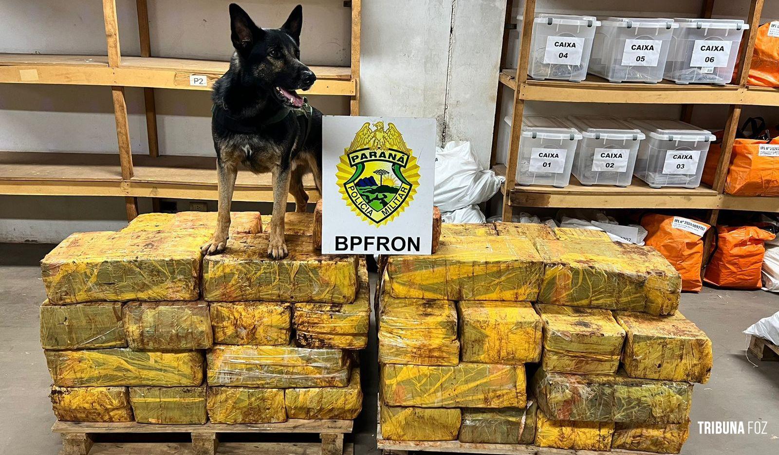 BPFRON apreende 1006,8 Kg maconha em Santa Helena