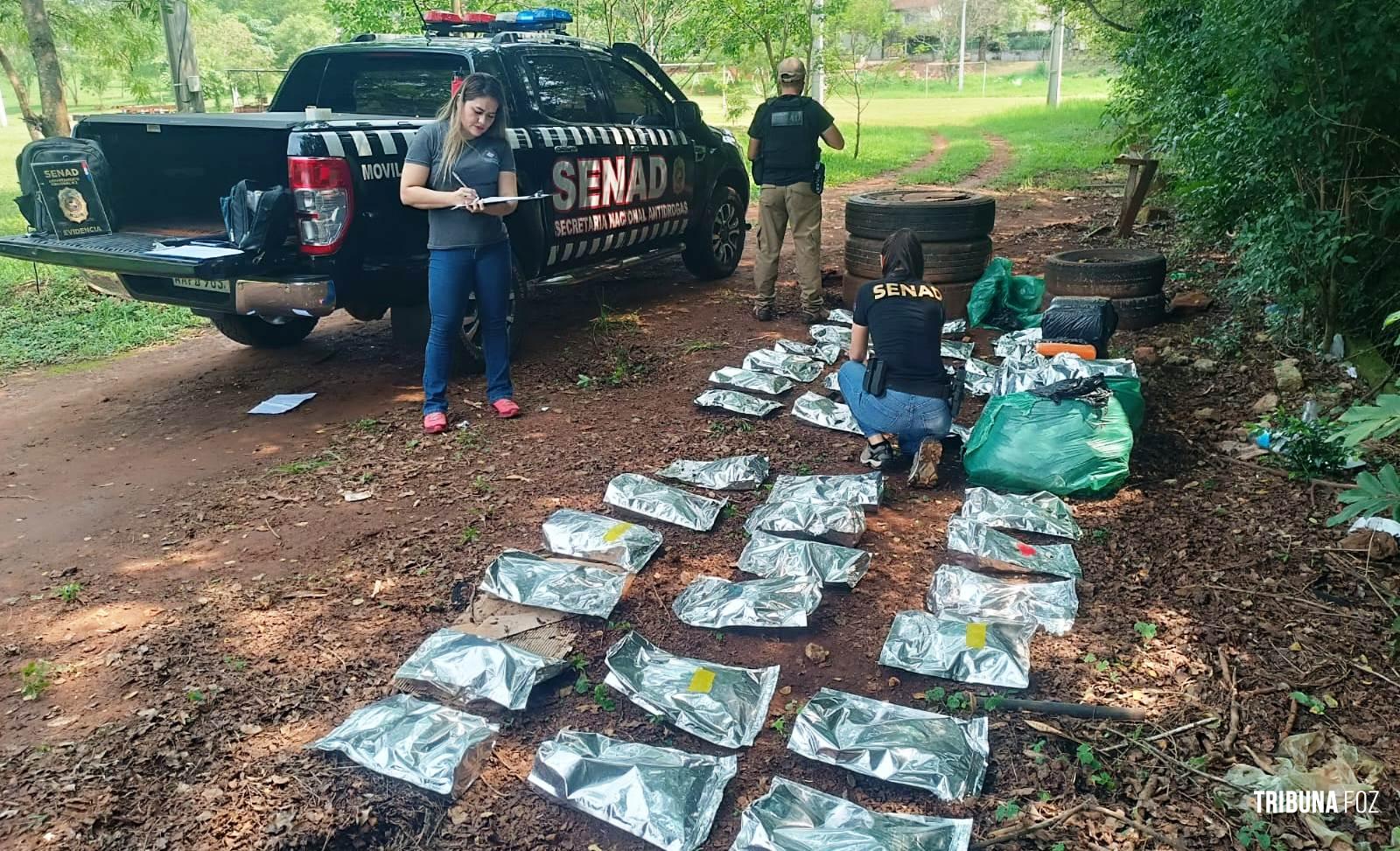 SENAD apreende 90 Kg de maconha tipo "Skunk" em Ciudad Del Este