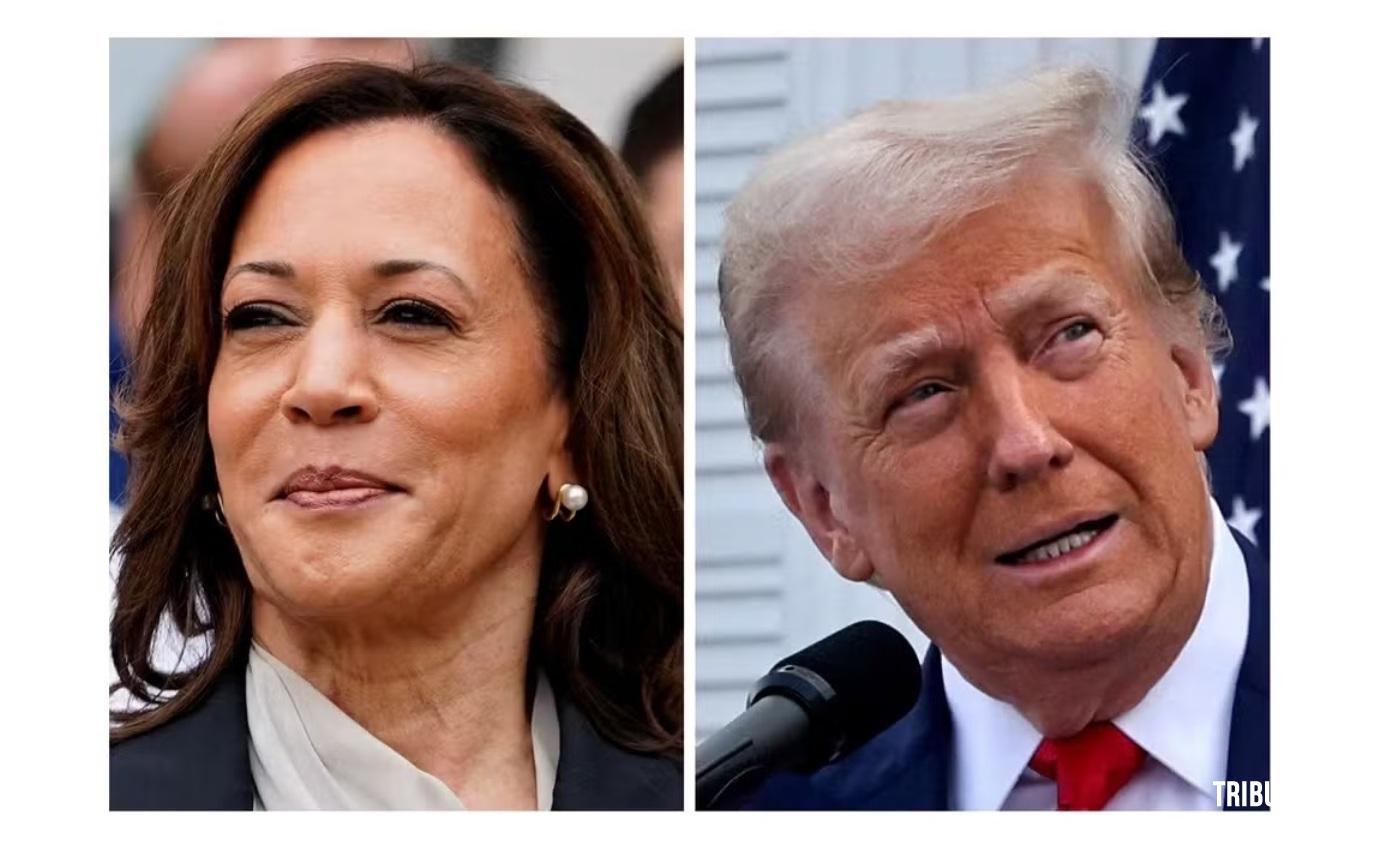 Eleições 2024 nos EUA: Veja como Kamala e Trump estão nas pesquisas nesta reta final