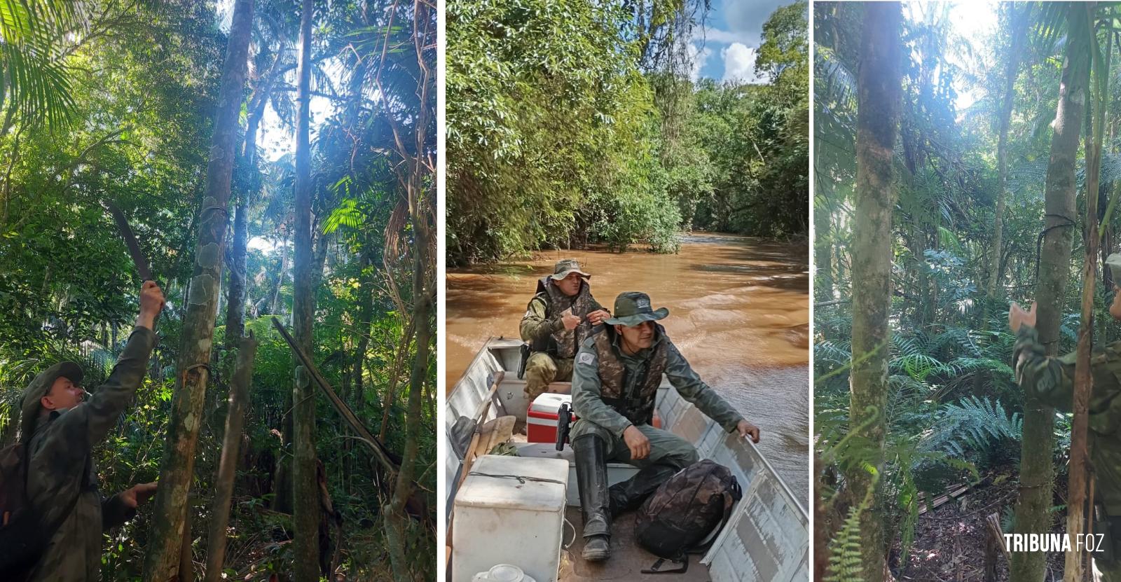 Militares do Batalhão de Policia Ambiental encontram jirau e saleiros no interior do Parque Nacional do Iguaçu