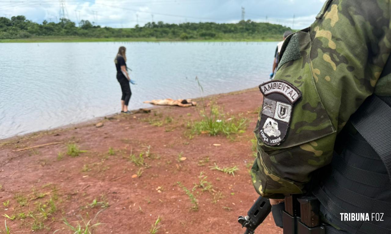 Policia Ambiental localiza cadáver as margens do Lago de Itaipu em Foz do Iguaçu