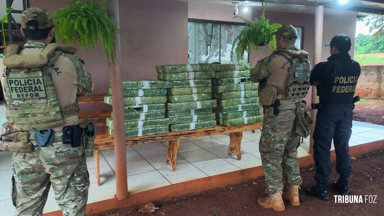 PF deflagra operação cannabis express, em ação voltada ao tráfico de drogas e associação para o tráfico PF deflagra operação cannabis express, em ação voltada ao tráfico de drogas e associação para o tráfico