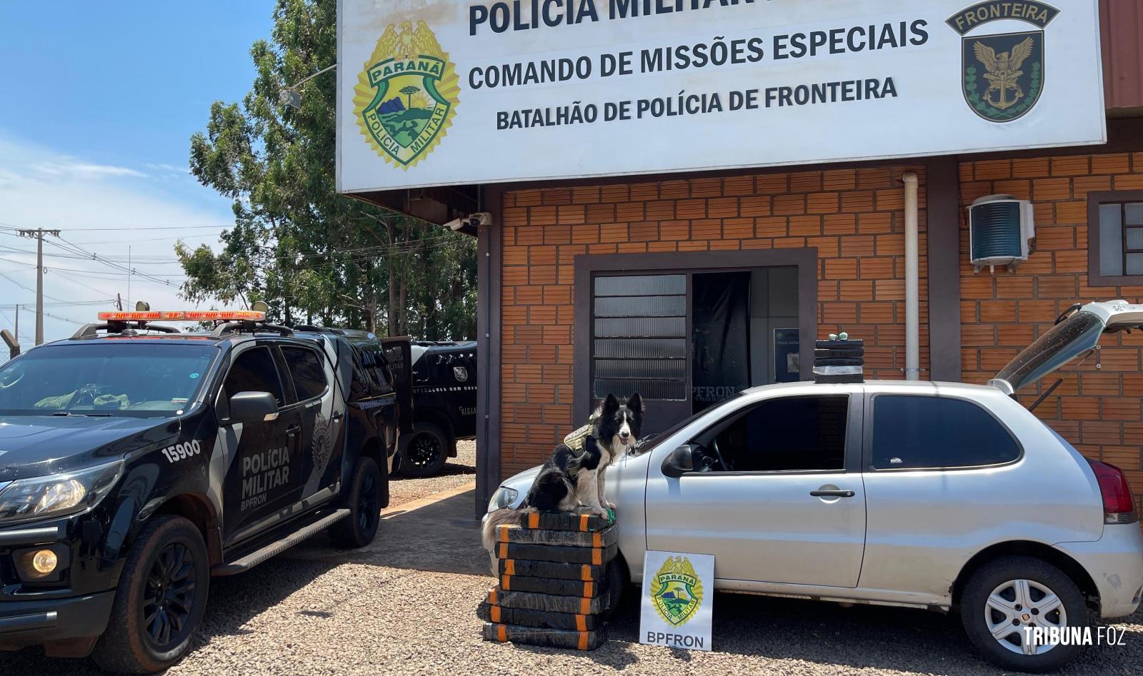 BPFRON apreende 97,6 Kg de maconha em Marechal Cândido Rondon 