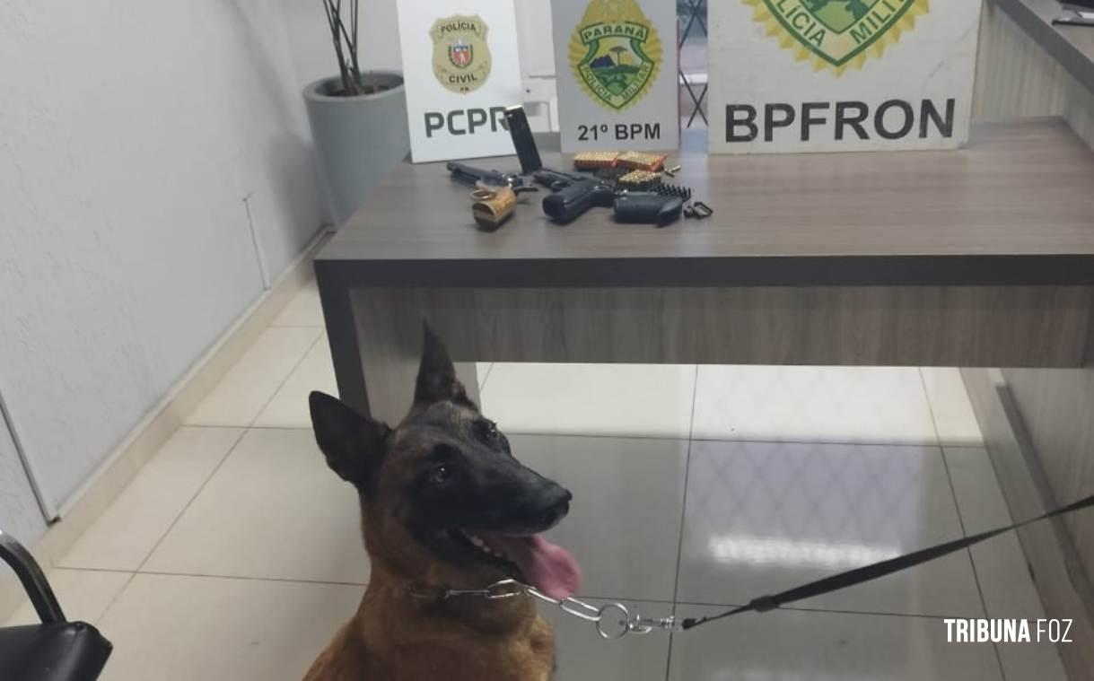 Policia Militar cumpre mandado de busca e apreensão em Santo Antônio do Sudoeste e apreende armas e munições