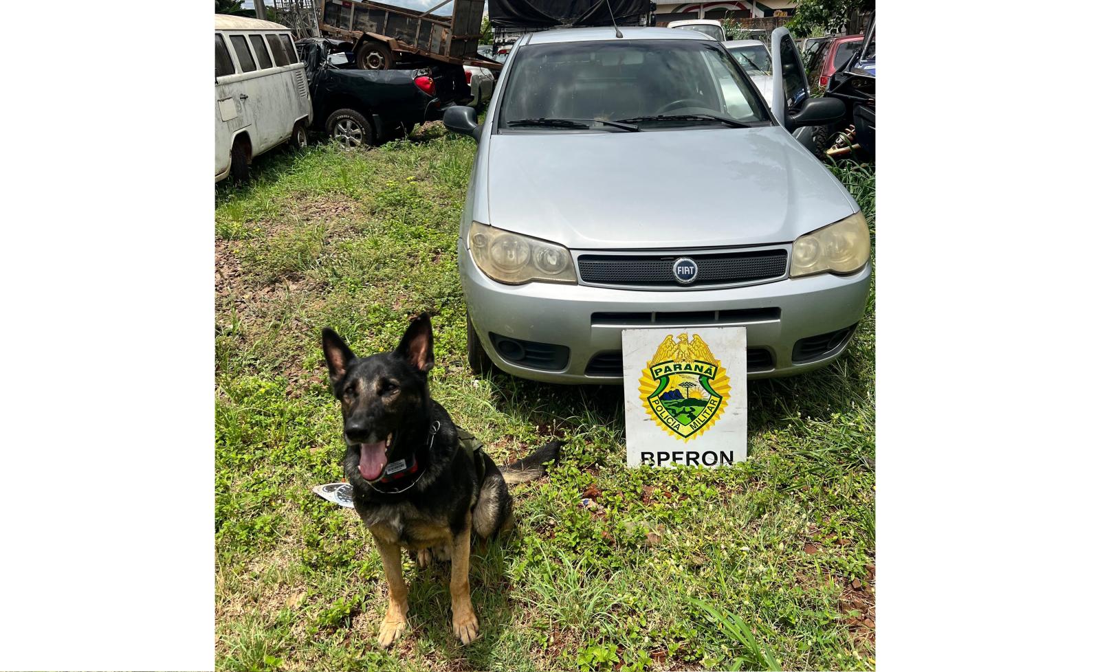 BPFRON apreende veículo com placas adulteradas em Marechal Cândido Rondon BPFRON apreende veículo com placas adulteradas em Marechal Cândido Rondon