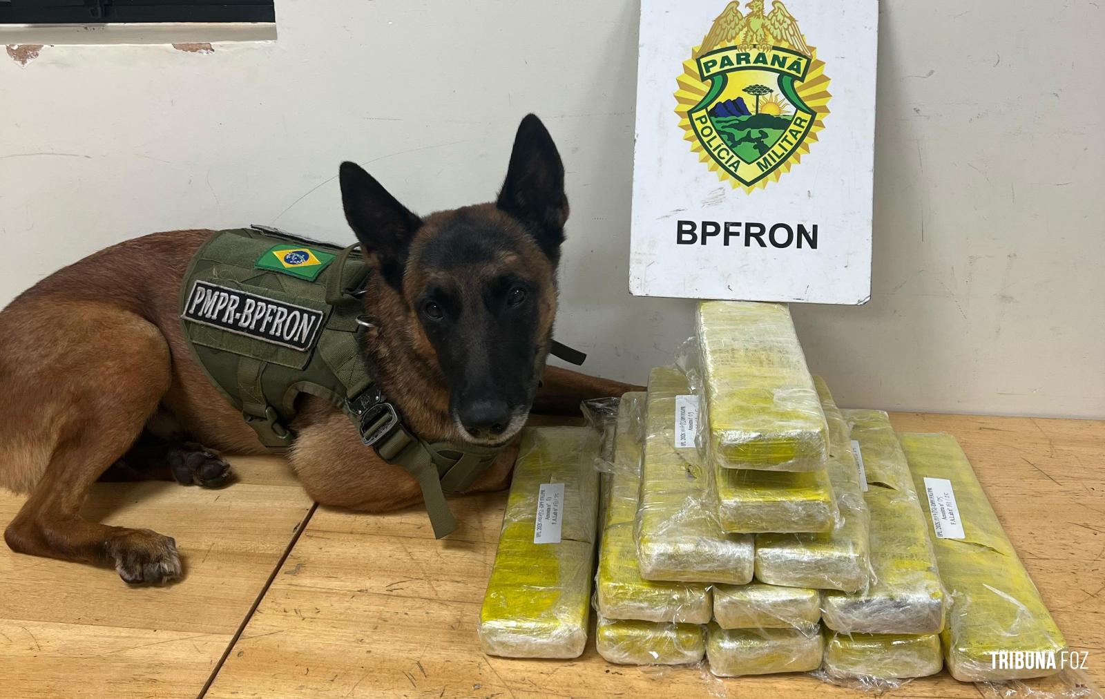 BPFRON prende casal de paraguaios com 10,2 Kg de maconha dentro de ônibus em Foz do Iguaçu BPFRON prende casal de paraguaios com 10,2 Kg de maconha dentro de ônibus em Foz do Iguaçu