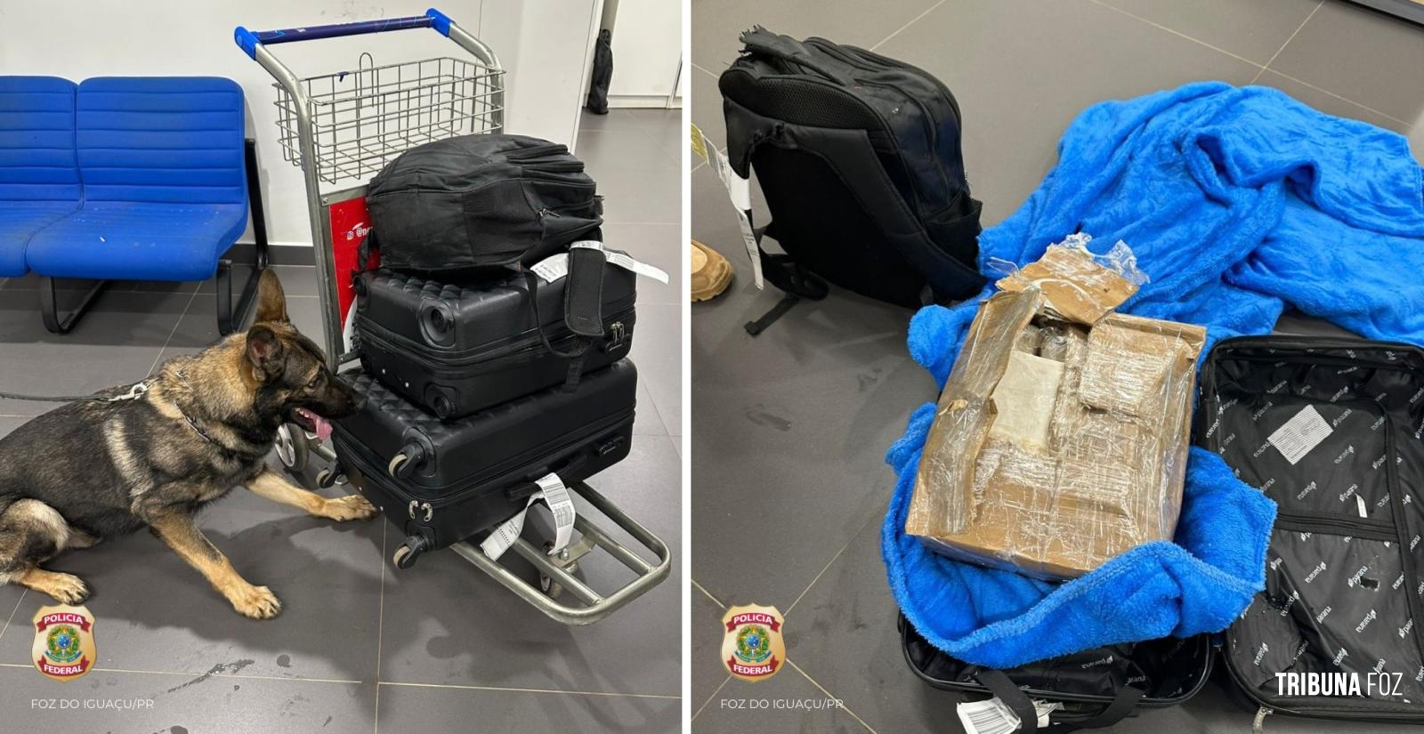 Policia Federal apreende menor transportando maconha e cocaína no aeroporto de Foz do Iguaçu Policia Federal apreende menor transportando maconha e cocaína no aeroporto de Foz do Iguaçu