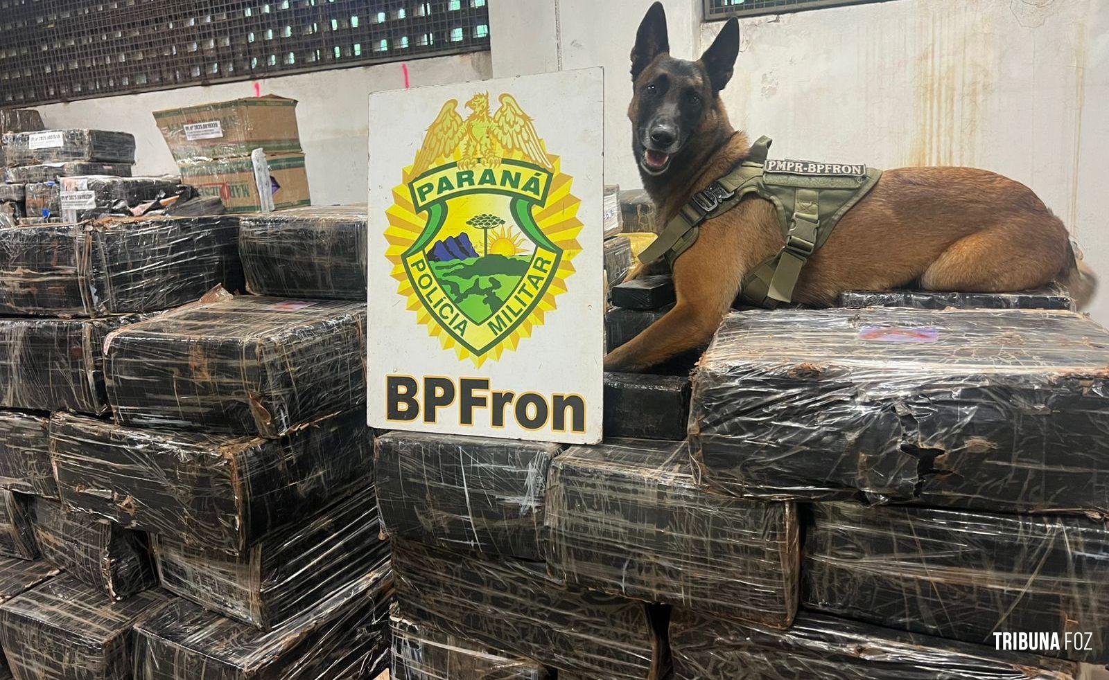 BPFRON apreende 1.243,8 Kg de maconha em Santa Helena BPFRON apreende 1.243,8 Kg de maconha em Santa Helena