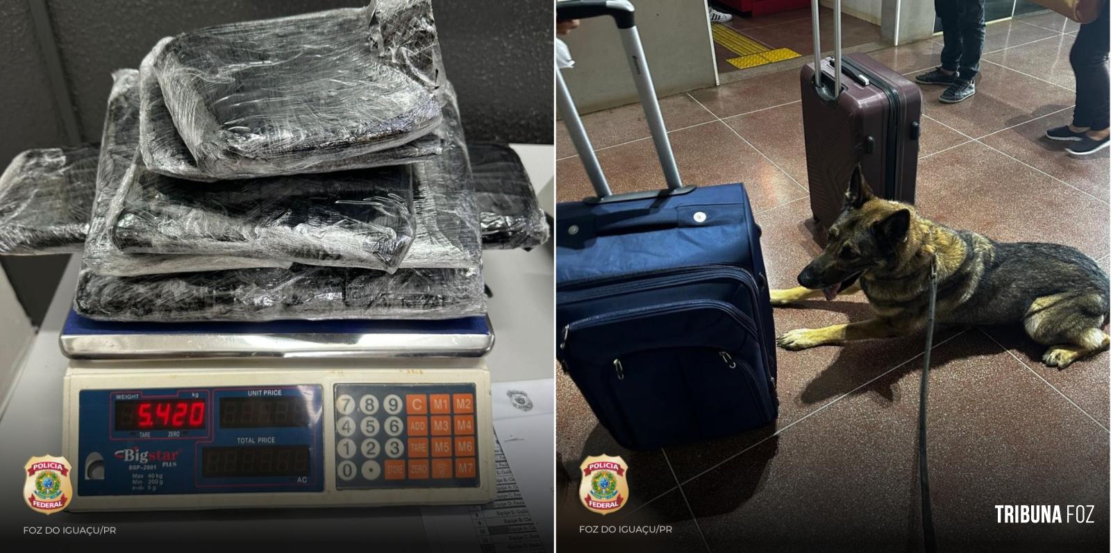 Policia Federal apreende menor com entorpecentes na Rodoviária Internacional de Foz do Iguaçu Policia Federal apreende menor com entorpecentes na Rodoviária Internacional de Foz do Iguaçu
