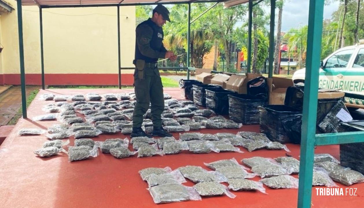 Policia Federal de Fronteira apreende 173 pacotes de maconha tipo skank em Puerto Iguazu Policia Federal de Fronteira apreende 173 pacotes de maconha tipo skank em Puerto Iguazu