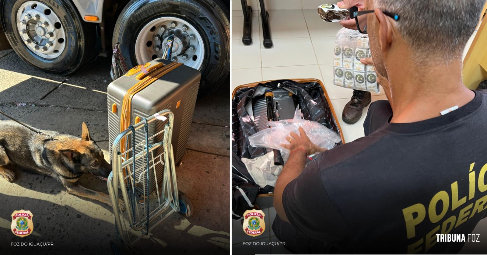 Policia Federal prende passageira com haxixe na Rodoviária Internacional de Foz do Iguaçu Policia Federal prende passageira com haxixe na Rodoviária Internacional de Foz do Iguaçu