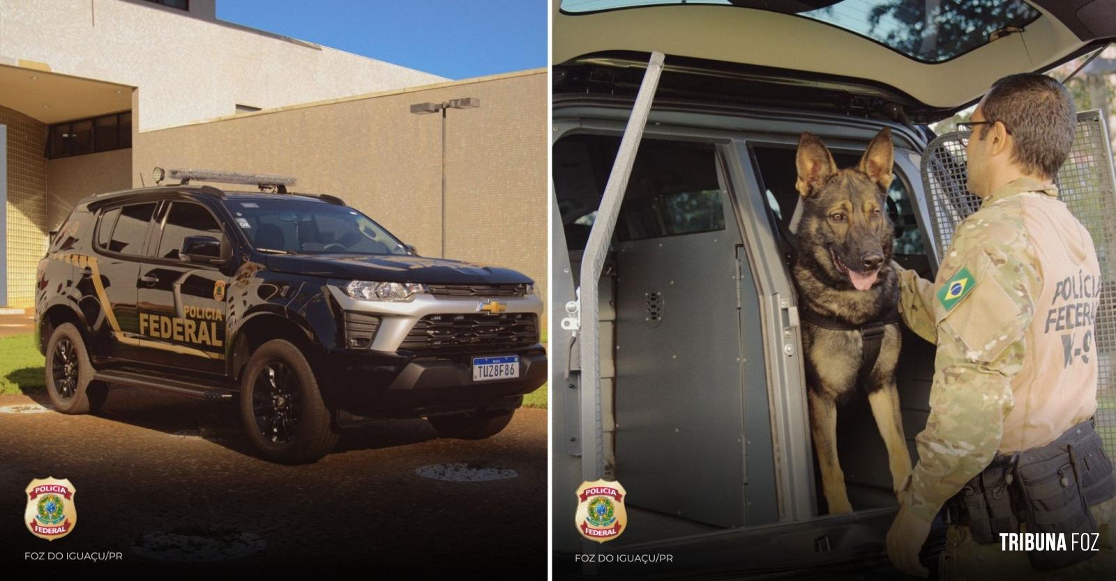Policia Federal recebe novas viaturas adaptadas para os cães farejadores policiais Policia Federal recebe novas viaturas adaptadas para os cães farejadores policiais