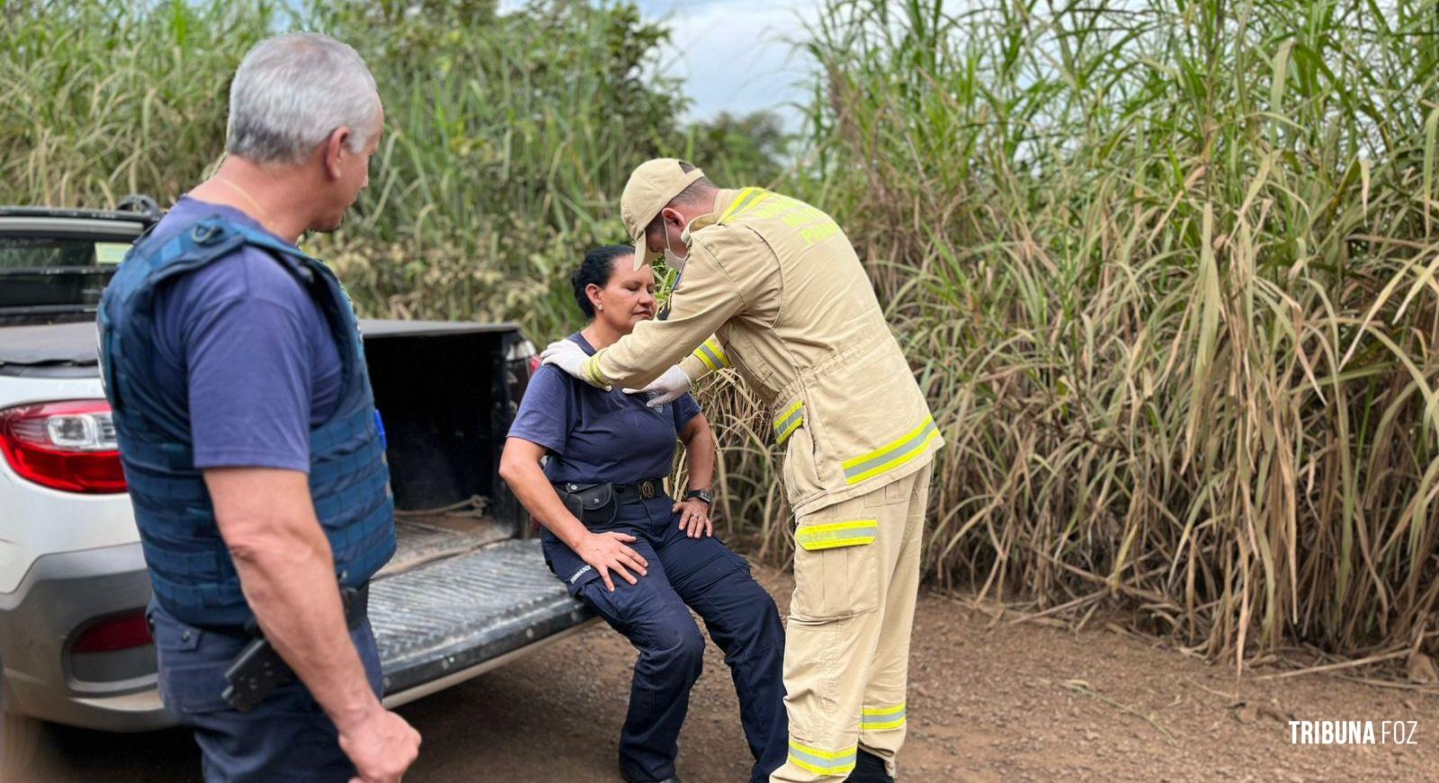 Servidora da Guarda Municipal fica ferida após bater veículo contra árvore na área rural de Foz do Iguaçu Servidora da Guarda Municipal fica ferida após bater veículo contra árvore na área rural de Foz do Iguaçu