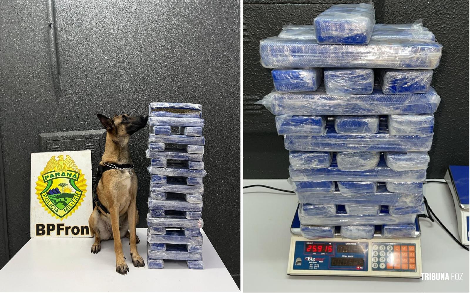Ação policial resulta na apreensão de 25,9 Kg de maconha em ônibus interestadual em Santa Terezinha de Itaipu Ação policial resulta na apreensão de 25,9 Kg de maconha em ônibus interestadual em Santa Terezinha de Itaipu
