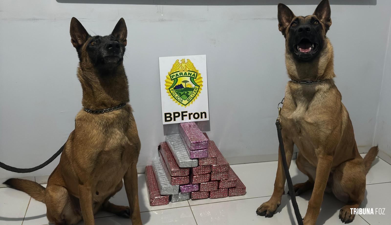 BPFRON prende homem transportando maconha em ônibus na cidade de Realeza BPFRON prende homem transportando maconha em ônibus na cidade de Realeza
