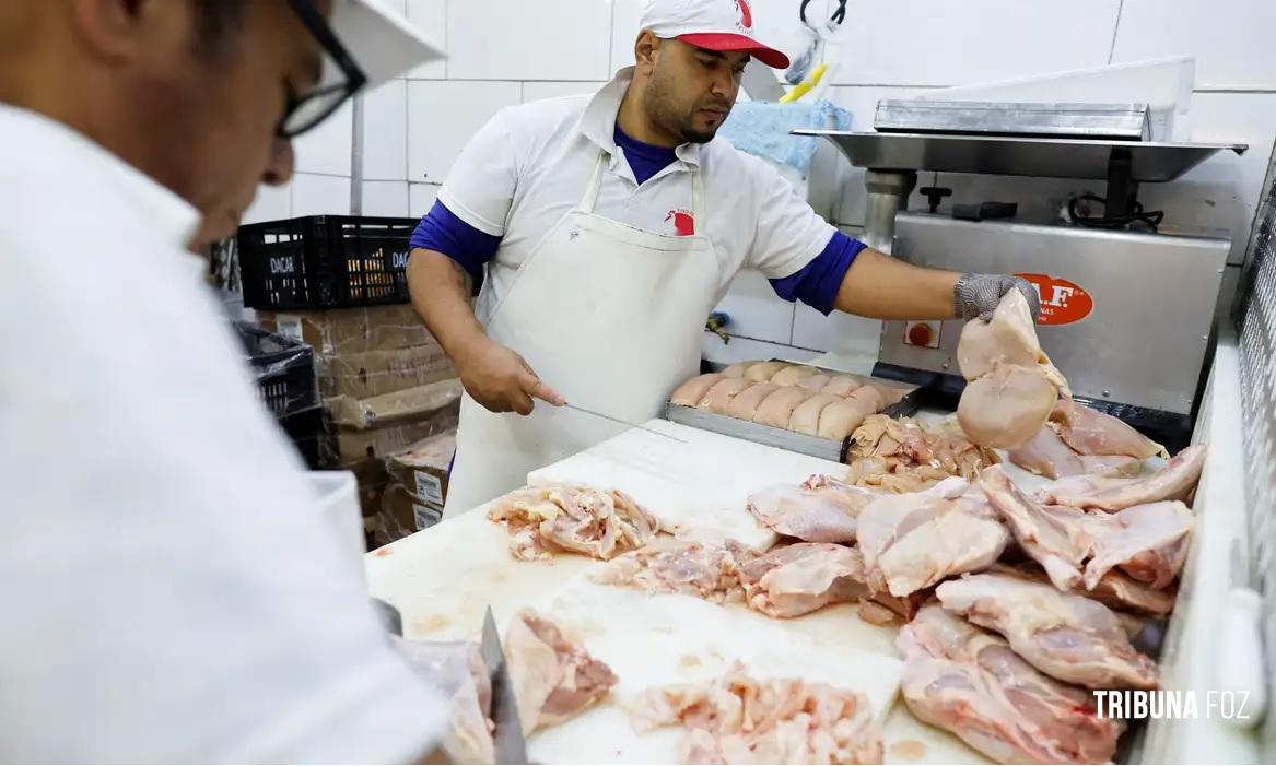 Brasil se declara país livre da gripe aviária Brasil se declara país livre da gripe aviária