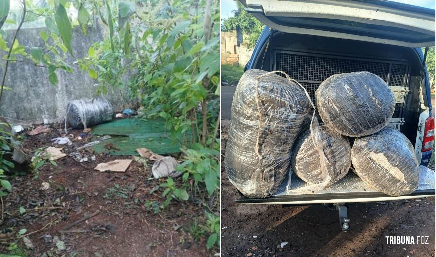GM apreende cinco sacos de maconha tipo capulho na Favela do Monsenhor GM apreende cinco sacos de maconha tipo capulho na Favela do Monsenhor