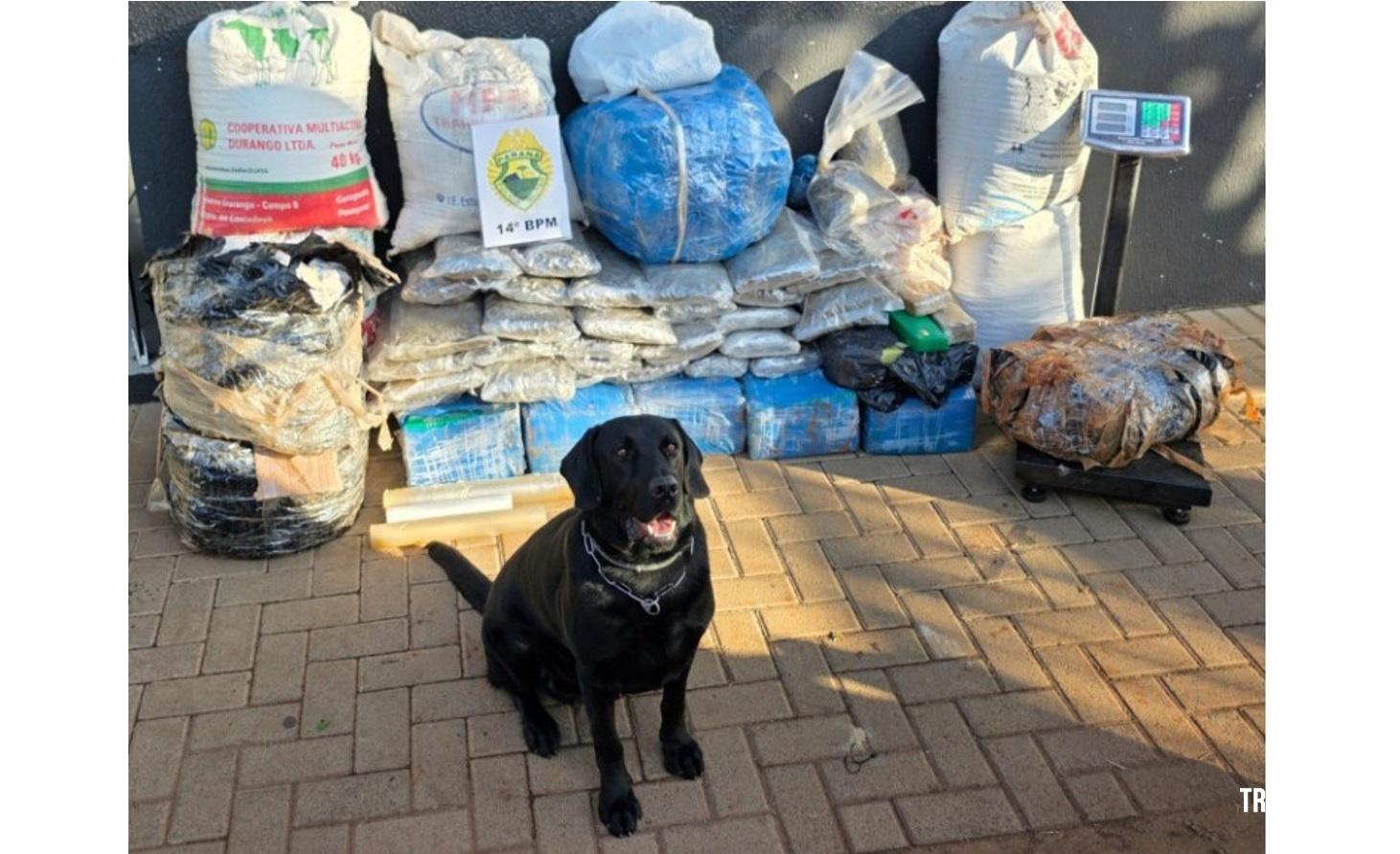PM apreende mais de 230 Kg de drogas na região central de Foz do Iguaçu