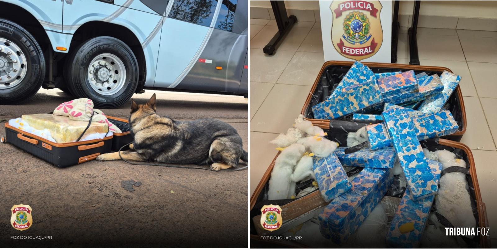 Policia Federal prende passageira com 25 Kg de maconha na BR-277 em Santa Terezinha de Itaipu Policia Federal prende passageira com 25 Kg de maconha na BR-277 em Santa Terezinha de Itaipu