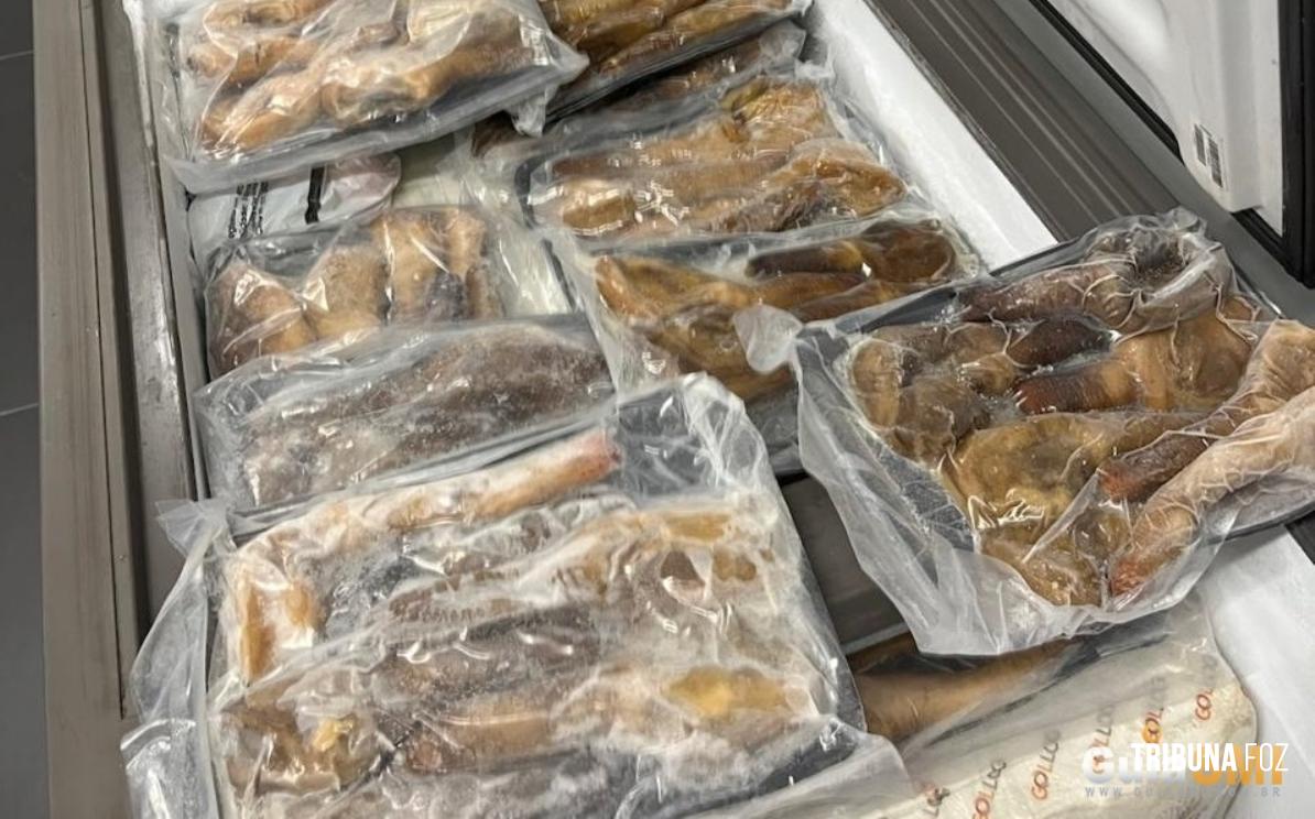 Receita Federal apreende carga avaliada em R$ 125 mil com molusco raro no Aeroporto Internacional de Foz do Iguaçu Receita Federal apreende carga avaliada em R$ 125 mil com molusco raro no Aeroporto Internacional de Foz do Iguaçu