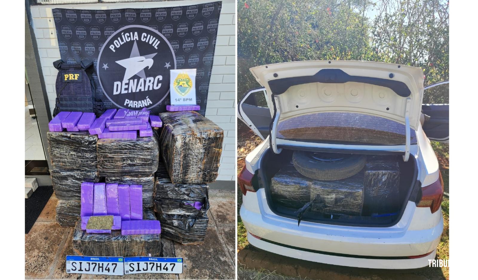 468,8 Kg de maconha são apreendidos pelo DENARC após ação conjunta da PRF, PC e PM em Santa Terezinha de Itaipu 468,8 Kg de maconha são apreendidos pelo DENARC após ação conjunta da PRF, PC e PM em Santa Terezinha de Itaipu