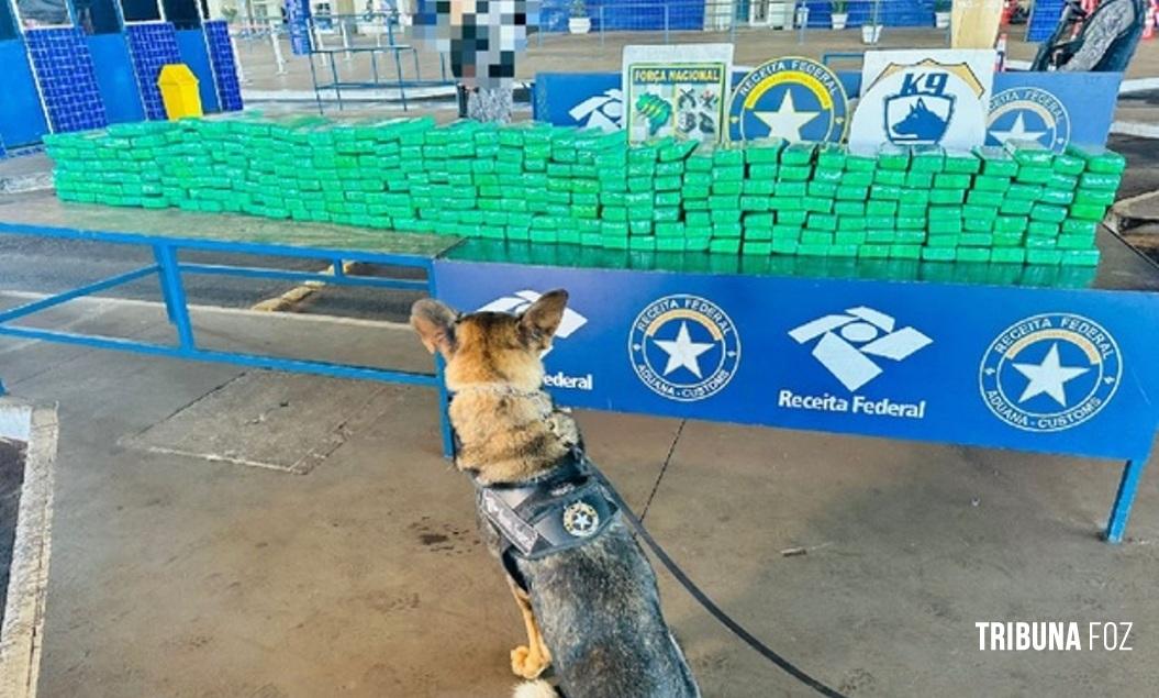 Cão da Receita Federal flagra van carregada com 227 Kg de maconha na Ponte da Amizade Cão da Receita Federal flagra van carregada com 227 Kg de maconha na Ponte da Amizade