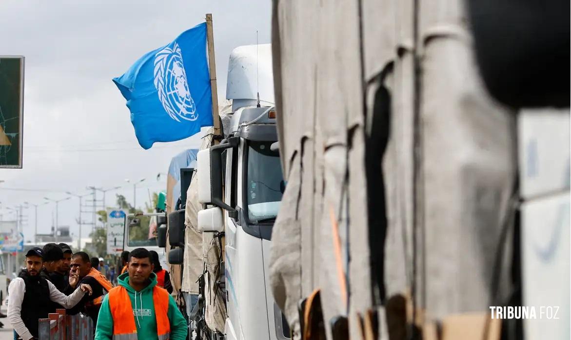 ONU registra 798 mortes perto de centros de ajuda em Gaza em 6 semanas ONU registra 798 mortes perto de centros de ajuda em Gaza em 6 semanas