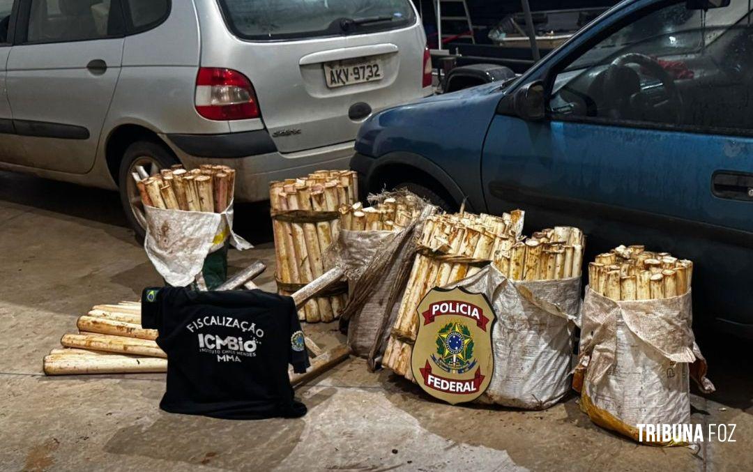Policia Federal e ICMBIO prendem indivíduo por crime ambiental no Parque Nacional do Iguaçu