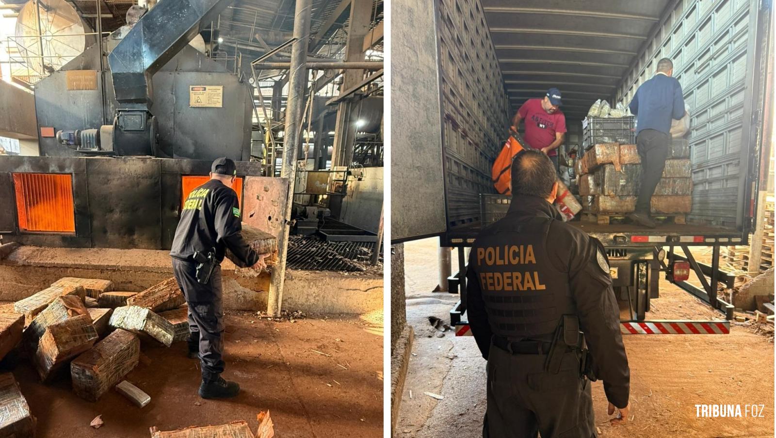 Policia Federal incinera 10 toneladas de entorpecentes da Tríplice Fronteira Policia Federal incinera 10 toneladas de entorpecentes da Tríplice Fronteira