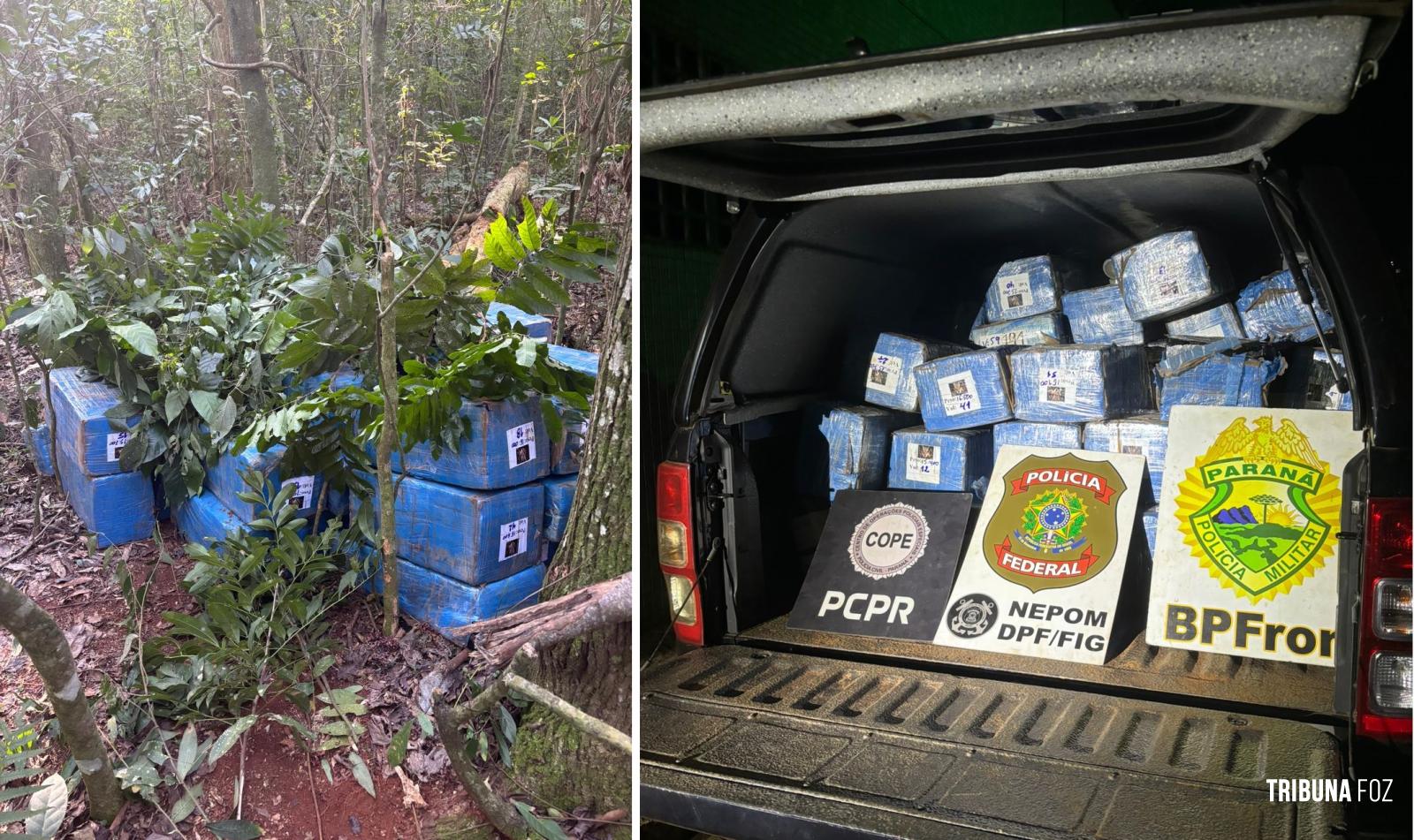 Policia Federal, PM e PC apreendem 726,5 Kg de maconha em Santa Helena Policia Federal, PM e PC apreendem 726,5 Kg de maconha em Santa Helena